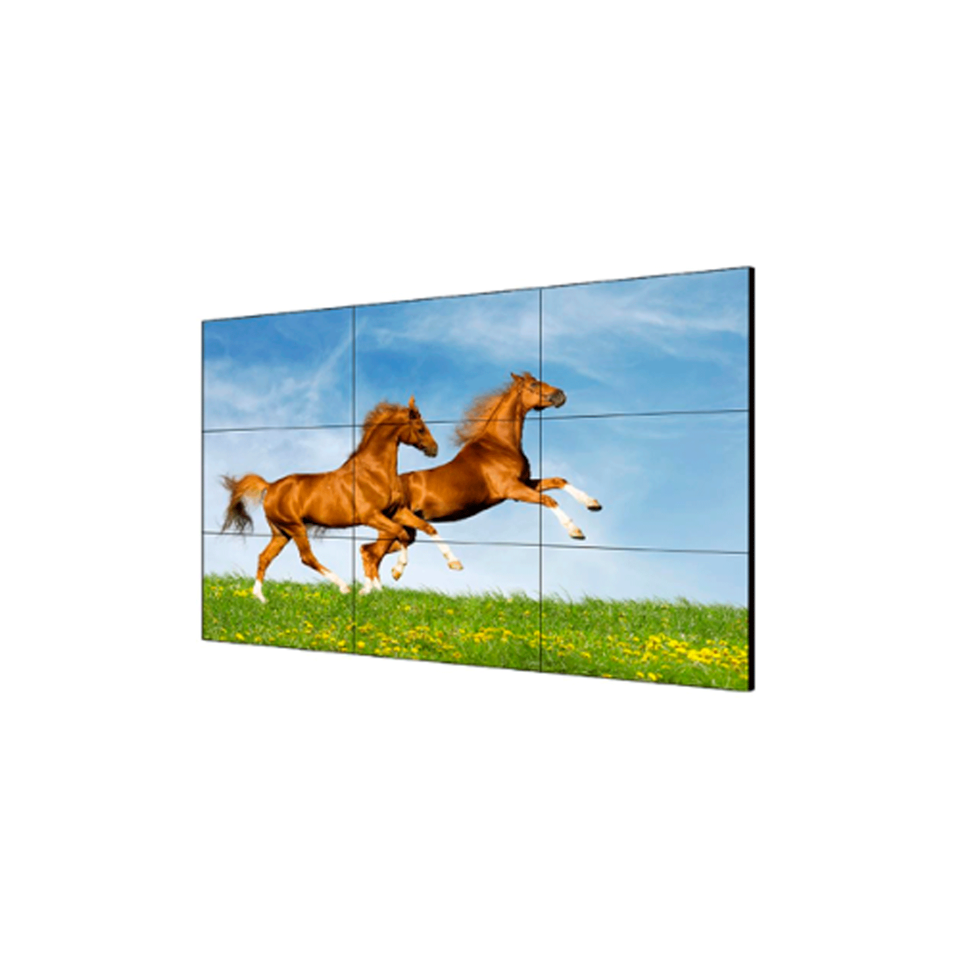 DISPLAY HIKVISION DS-D2046TL-1B