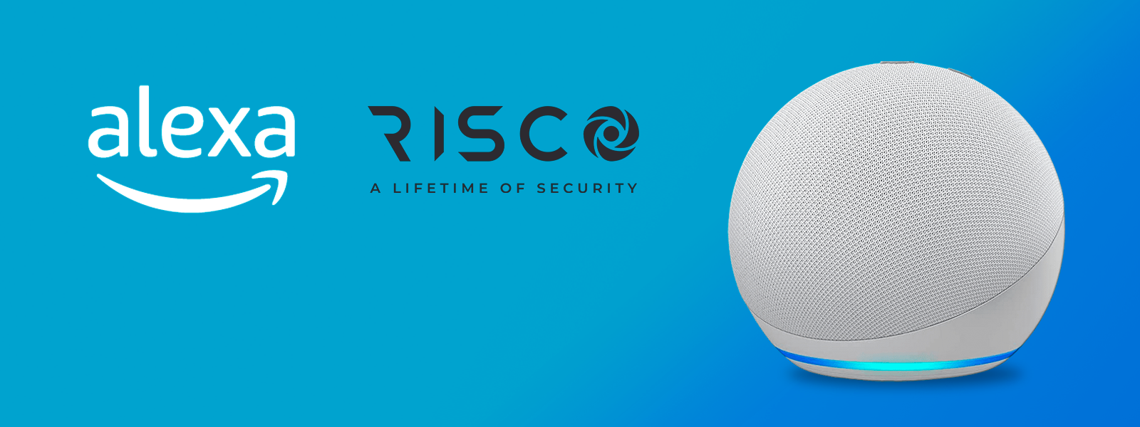 Sistema de Seguridad Risco Alexa